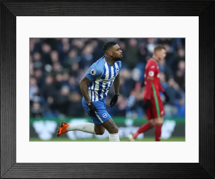 Framed Print : Intense Premier League Showdown: Brighton & Hove Albion vs Swansea City (24FEB18) Framed Print : Intense Premier League Showdown: Brighton & Hove Albion vs Swansea City (24FEB18)