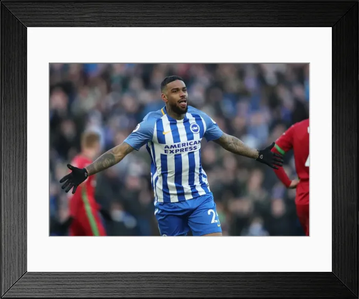 Framed Print : Brighton and Hove Albion vs Swansea City: A Premier League Battle at American Express Community Stadium (24FEB18) Framed Print : Brighton and Hove Albion vs Swansea City: A Premier League Battle at American Express Community Stadium (24FEB18)