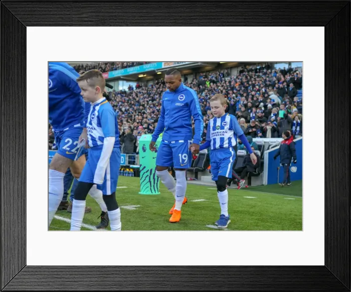 Framed Print : Mascots - Swansea-1480 Framed Print : Mascots - Swansea-1480