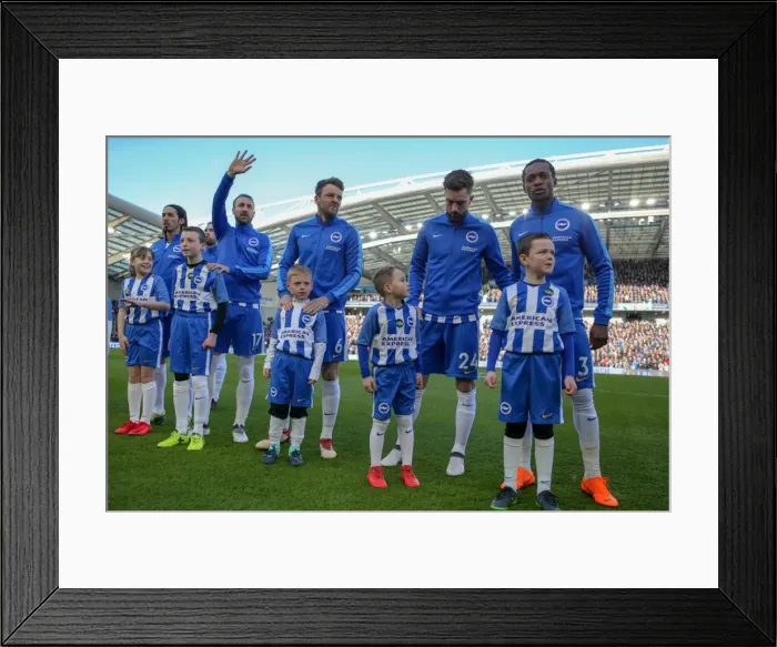 Framed Print : Mascots - Swansea-1489