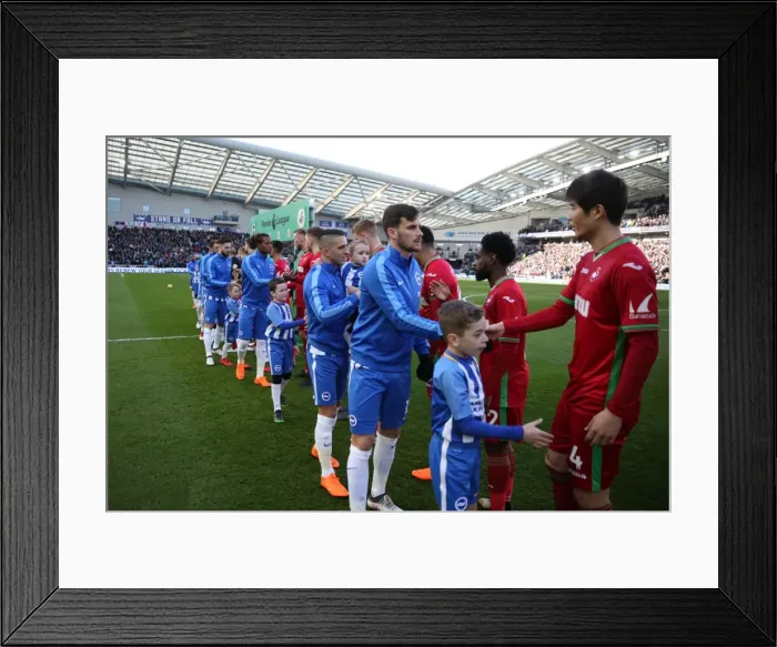 Framed Print : Mascots - Swansea-1780