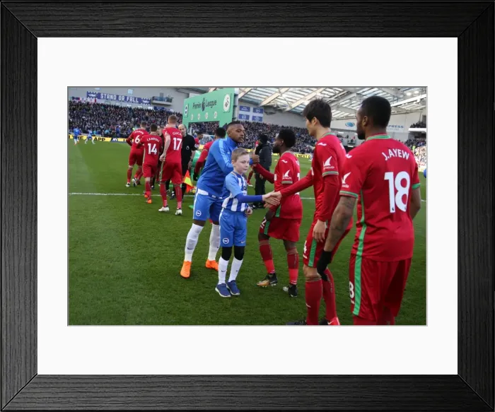 Framed Print : Mascots - Swansea-1796 Framed Print : Mascots - Swansea-1796