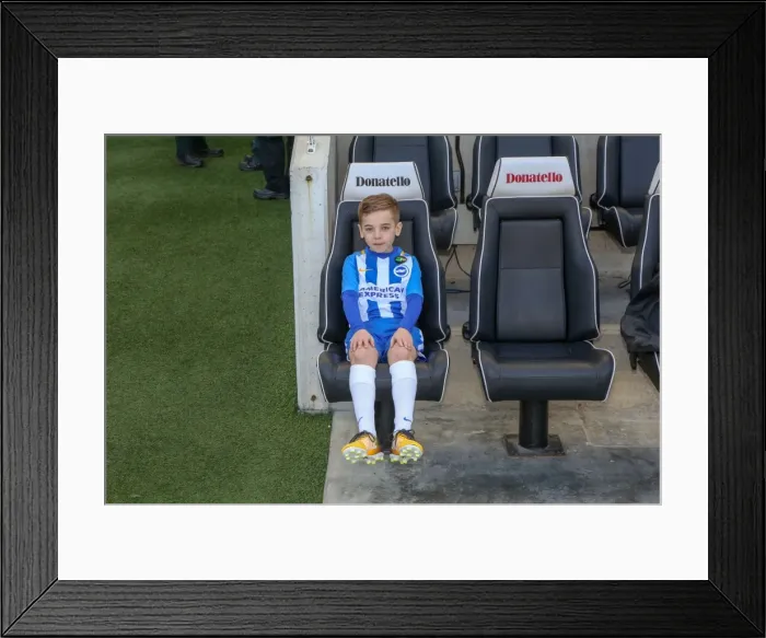 Framed Print : Mascots - Swansea-5955 Framed Print : Mascots - Swansea-5955