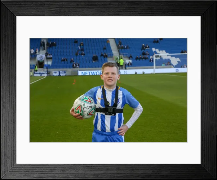 Framed Print : Mascots - Swansea-5983 Framed Print : Mascots - Swansea-5983