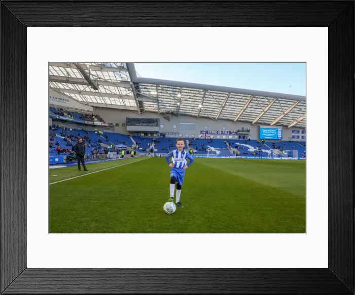 Framed Print : Mascots - Swansea-5985 Framed Print : Mascots - Swansea-5985