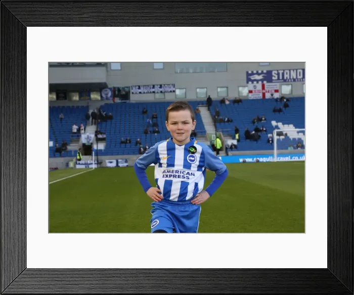Framed Print : Mascots - Swansea-5987