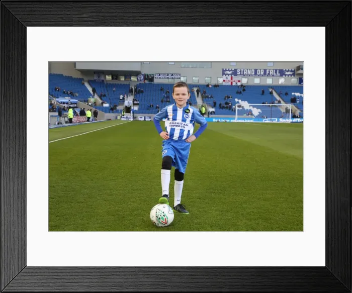 Framed Print : Mascots - Swansea-5986 Framed Print : Mascots - Swansea-5986