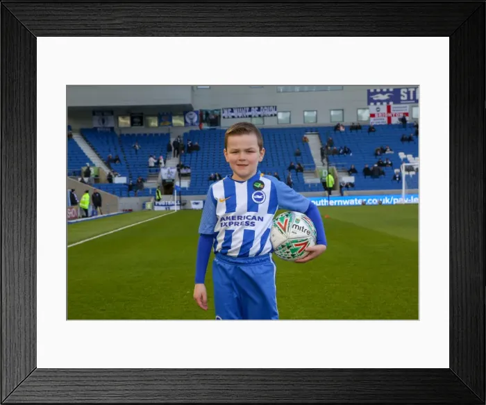 Framed Print : Mascots - Swansea-5992 Framed Print : Mascots - Swansea-5992