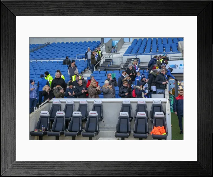 Framed Print : Mascots - Swansea-5994