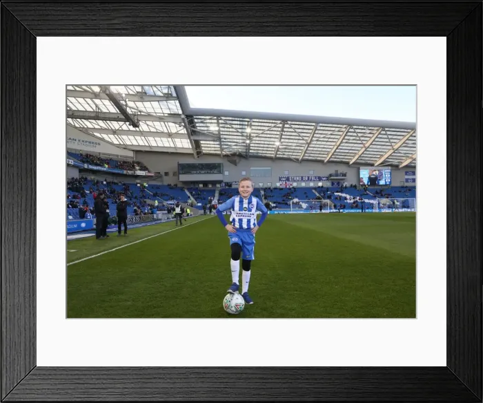 Framed Print : Mascots - Swansea-6000 Framed Print : Mascots - Swansea-6000