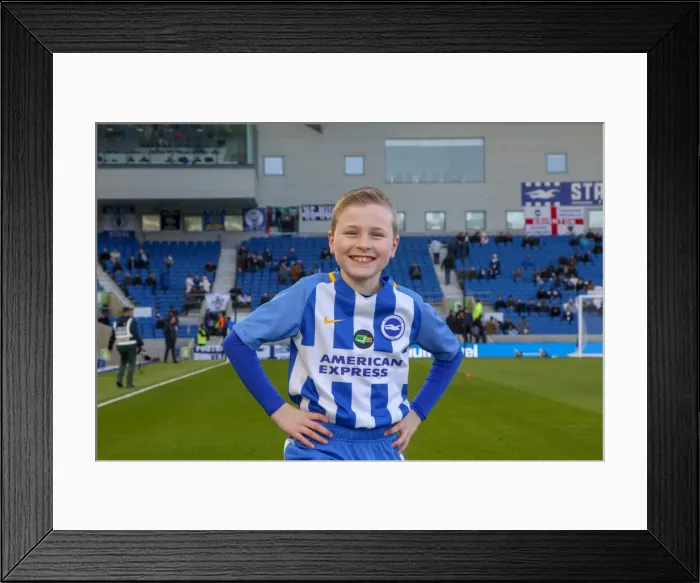 Framed Print : Mascots - Swansea-6003 Framed Print : Mascots - Swansea-6003