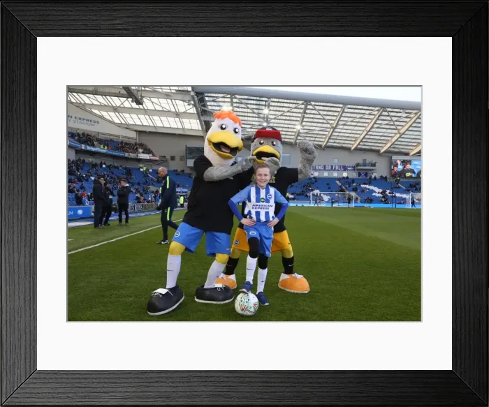 Framed Print : Mascots - Swansea-6006 Framed Print : Mascots - Swansea-6006