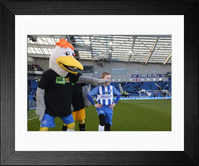 Framed Print : Mascots - Swansea-6008