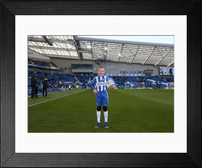 Framed Print : Mascots - Swansea-6009 Framed Print : Mascots - Swansea-6009