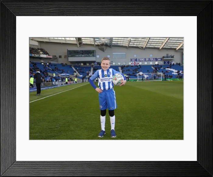 Framed Print : Mascots - Swansea-6010 Framed Print : Mascots - Swansea-6010
