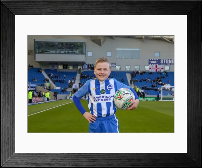 Framed Print : Mascots - Swansea-6012