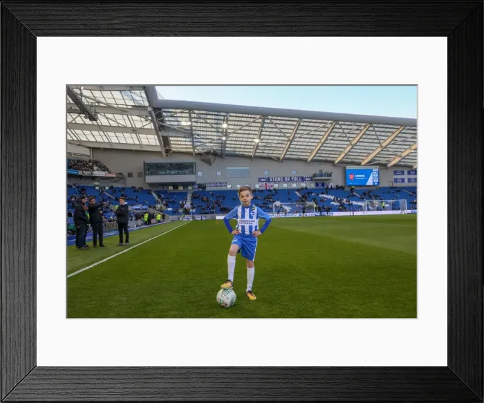 Framed Print : Mascots - Swansea-6013 Framed Print : Mascots - Swansea-6013