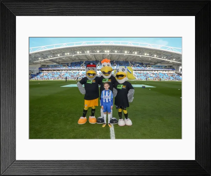Framed Print : Mascots - Swansea-6035 Framed Print : Mascots - Swansea-6035