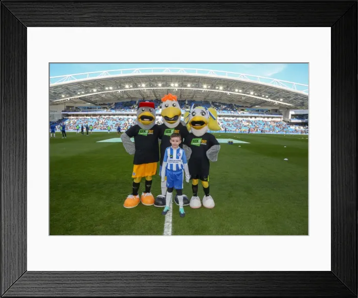 Framed Print : Mascots - Swansea-6049 Framed Print : Mascots - Swansea-6049