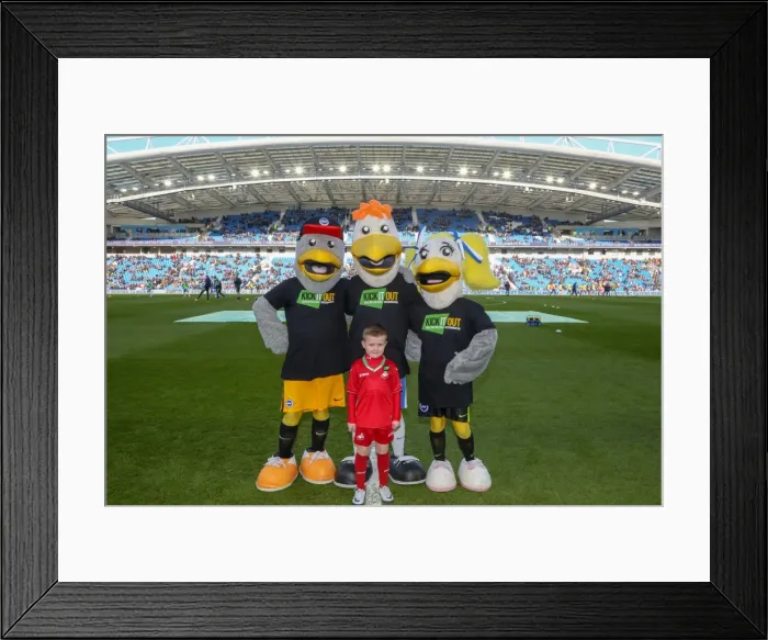 Framed Print : Mascots - Swansea-6055 Framed Print : Mascots - Swansea-6055