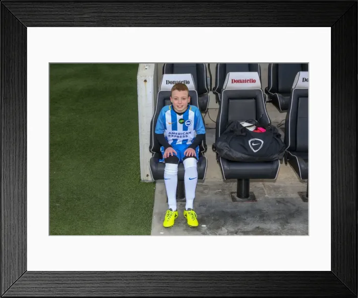Framed Print : Mascots - Swansea-6058