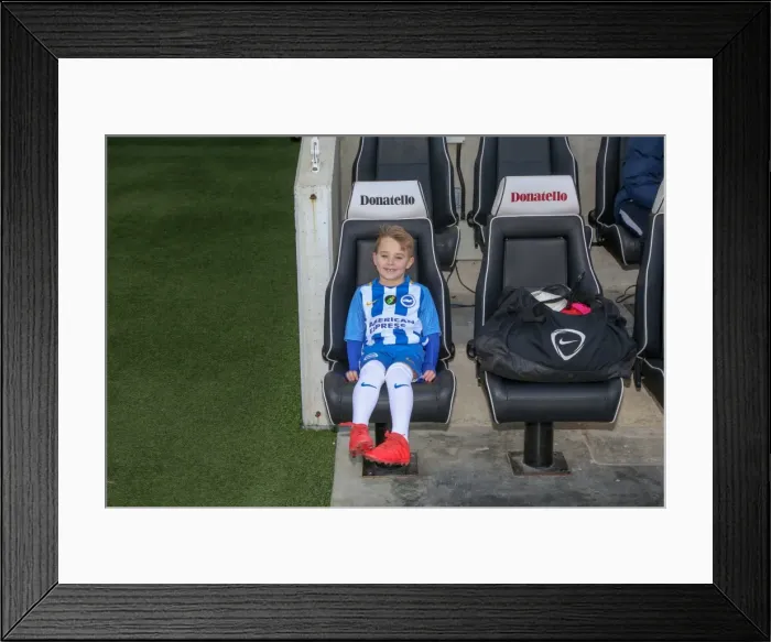 Framed Print : Mascots - Swansea-6060 Framed Print : Mascots - Swansea-6060