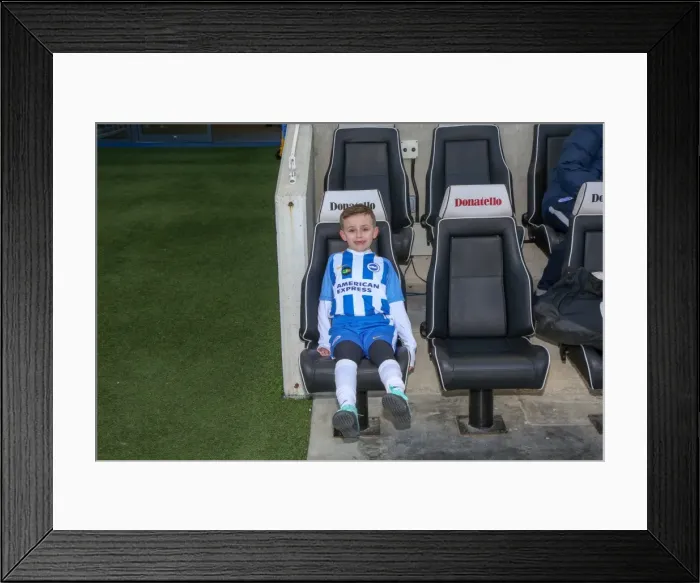 Framed Print : Mascots - Swansea-6063 Framed Print : Mascots - Swansea-6063