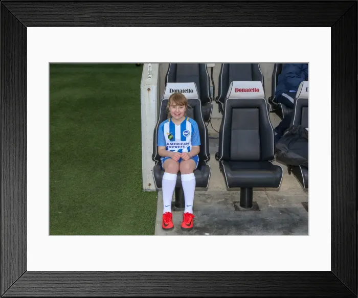 Framed Print : Mascots - Swansea-6067 Framed Print : Mascots - Swansea-6067