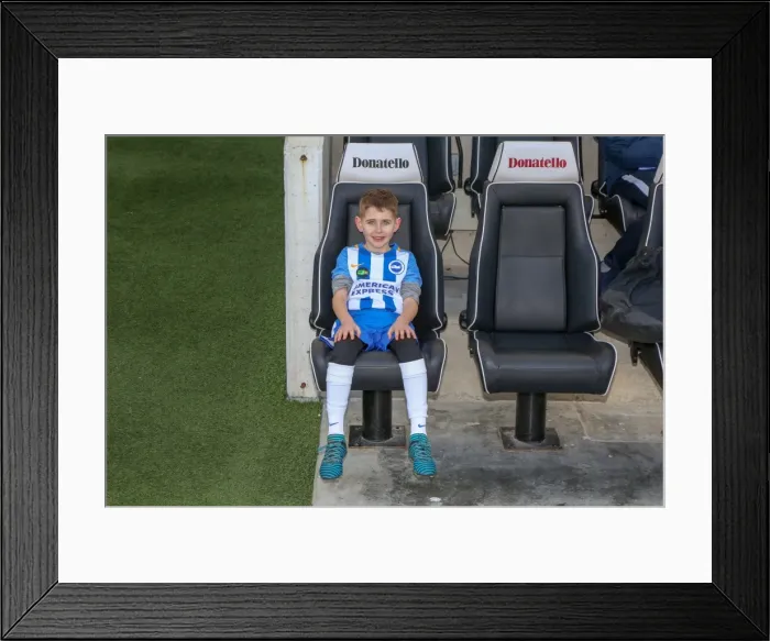 Framed Print : Mascots - Swansea-6069 Framed Print : Mascots - Swansea-6069