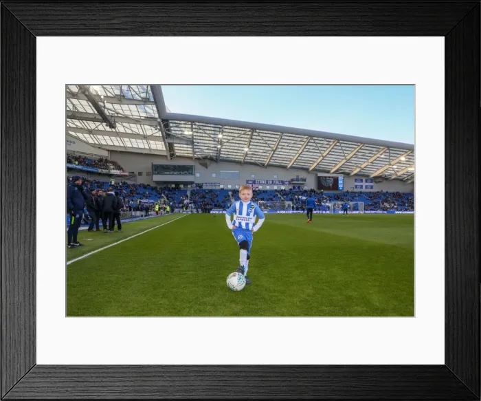 Framed Print : Mascots - Swansea-6072