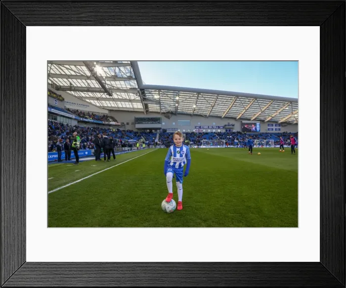 Framed Print : Mascots - Swansea-6090