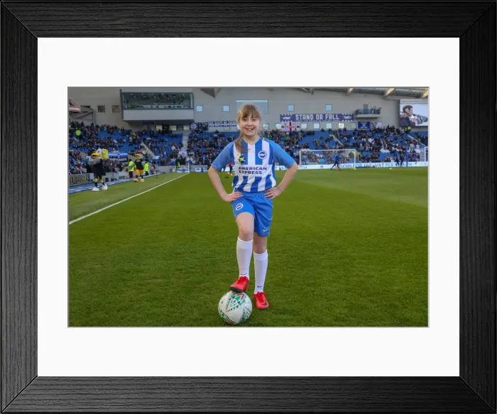Framed Print : Mascots - Swansea-6109 Framed Print : Mascots - Swansea-6109