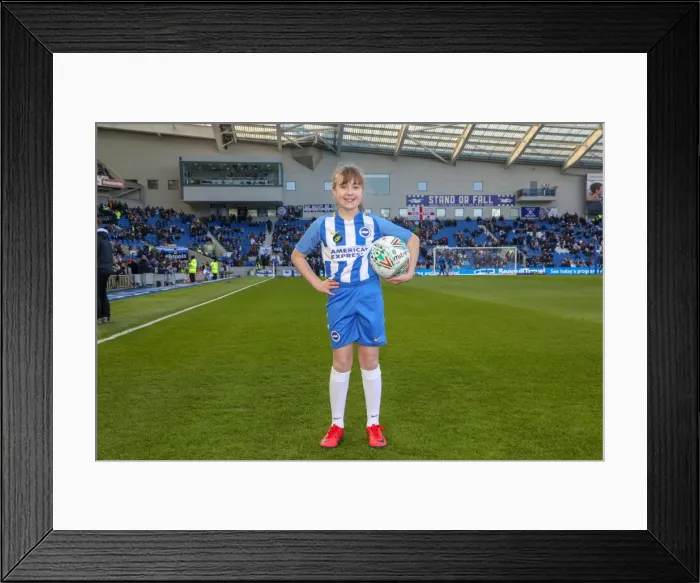 Framed Print : Mascots - Swansea-6114 Framed Print : Mascots - Swansea-6114