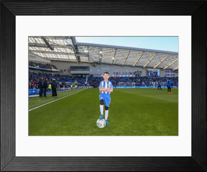 Framed Print : Mascots - Swansea-6117 Framed Print : Mascots - Swansea-6117