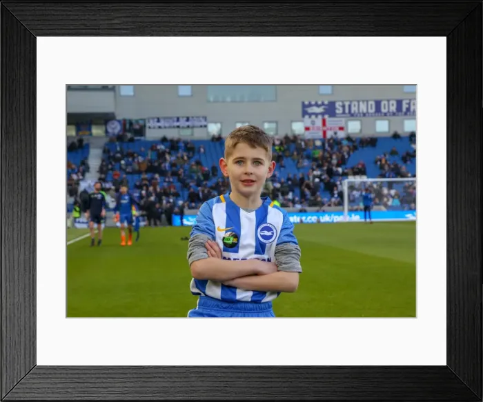 Framed Print : Mascots - Swansea-6121 Framed Print : Mascots - Swansea-6121