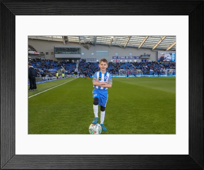 Framed Print : Mascots - Swansea-6118 Framed Print : Mascots - Swansea-6118