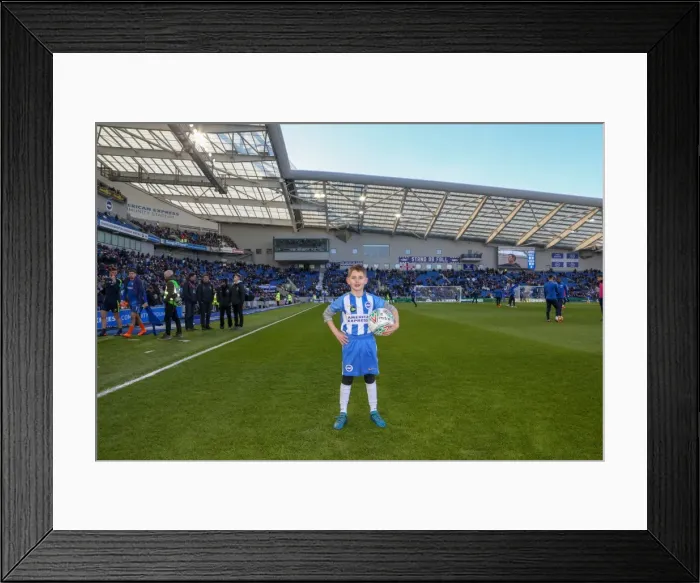 Framed Print : Mascots - Swansea-6122 Framed Print : Mascots - Swansea-6122