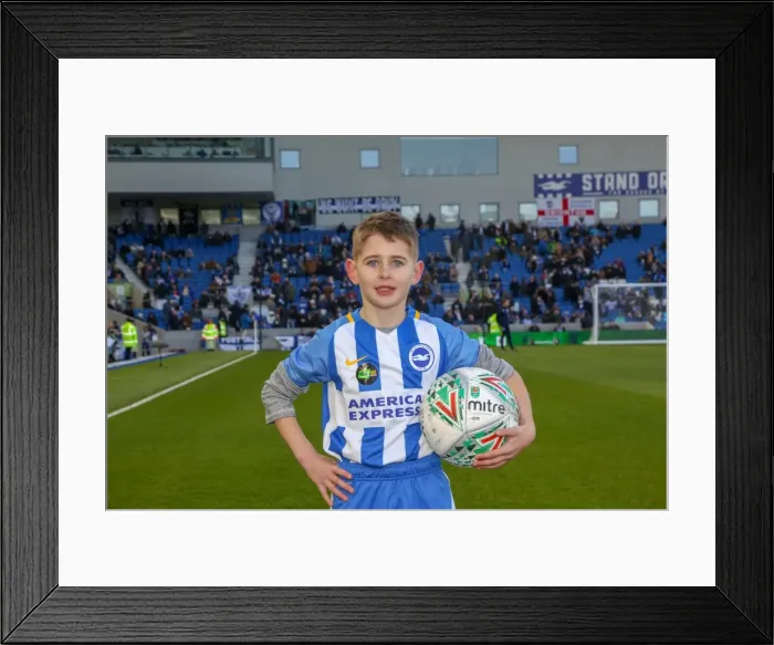 Framed Print : Mascots - Swansea-6125 Framed Print : Mascots - Swansea-6125