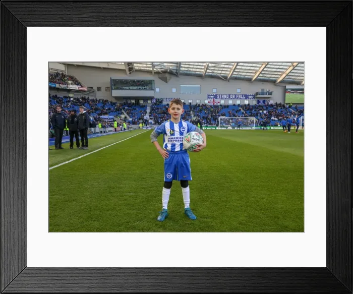 Framed Print : Mascots - Swansea-6123 Framed Print : Mascots - Swansea-6123