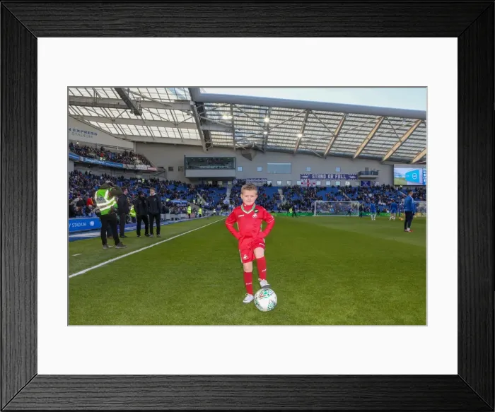 Framed Print : Mascots - Swansea-6126 Framed Print : Mascots - Swansea-6126