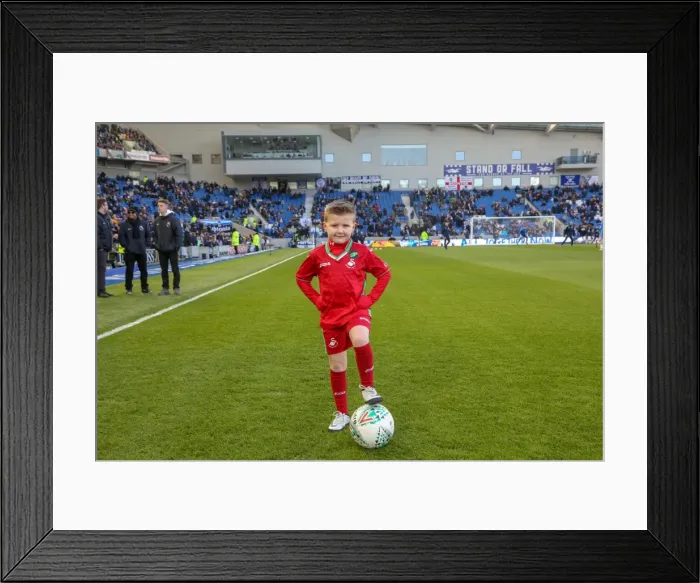 Framed Print : Mascots - Swansea-6127 Framed Print : Mascots - Swansea-6127