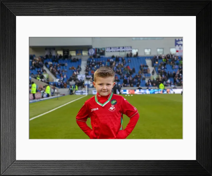 Framed Print : Mascots - Swansea-6128