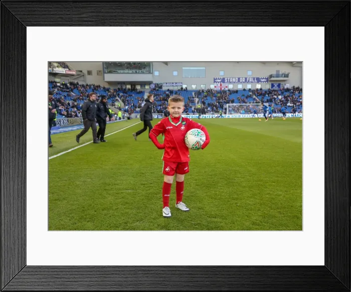 Framed Print : Mascots - Swansea-6131 Framed Print : Mascots - Swansea-6131