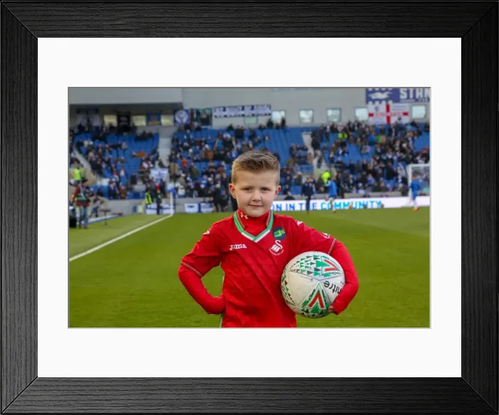 Framed Print : Mascots - Swansea-6133