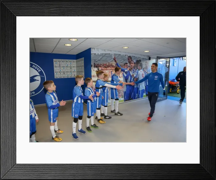 Framed Print : Mascots - Swansea-6134