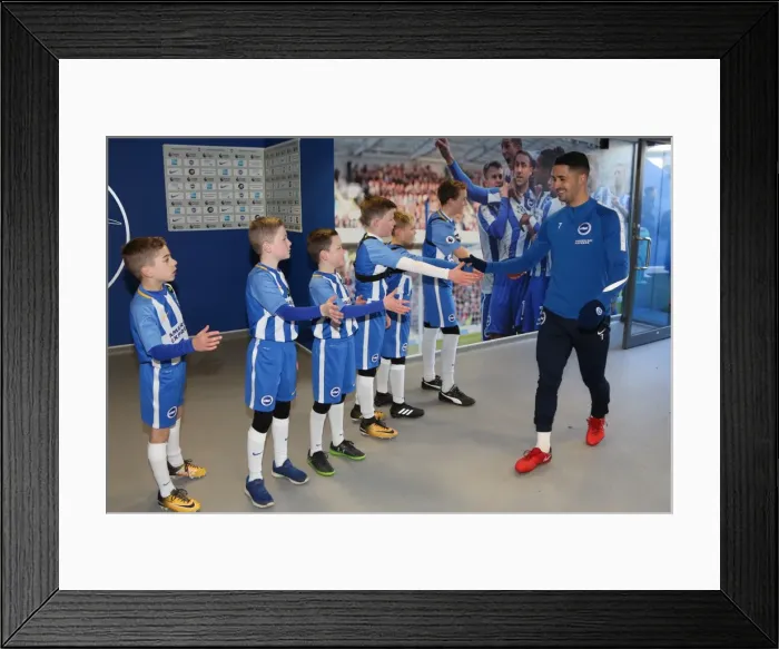 Framed Print : Mascots - Swansea-6135 Framed Print : Mascots - Swansea-6135