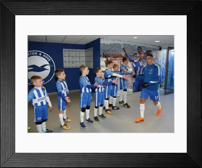 Framed Print : Mascots - Swansea-6137 Framed Print : Mascots - Swansea-6137