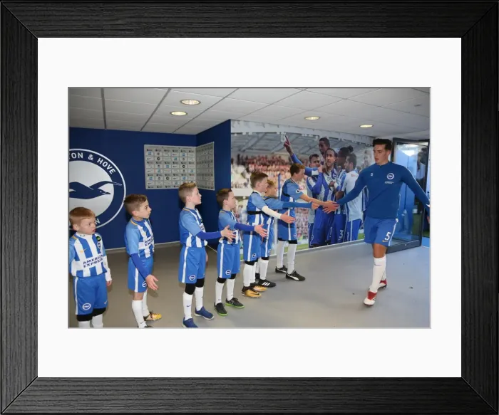 Framed Print : Mascots - Swansea-6140 Framed Print : Mascots - Swansea-6140