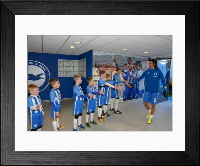 Framed Print : Mascots - Swansea-6144 Framed Print : Mascots - Swansea-6144
