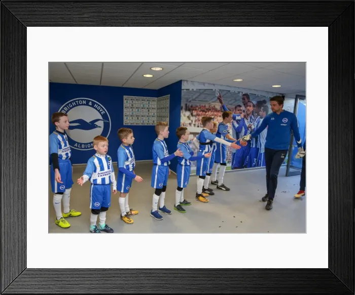 Framed Print : Mascots - Swansea-6151 Framed Print : Mascots - Swansea-6151
